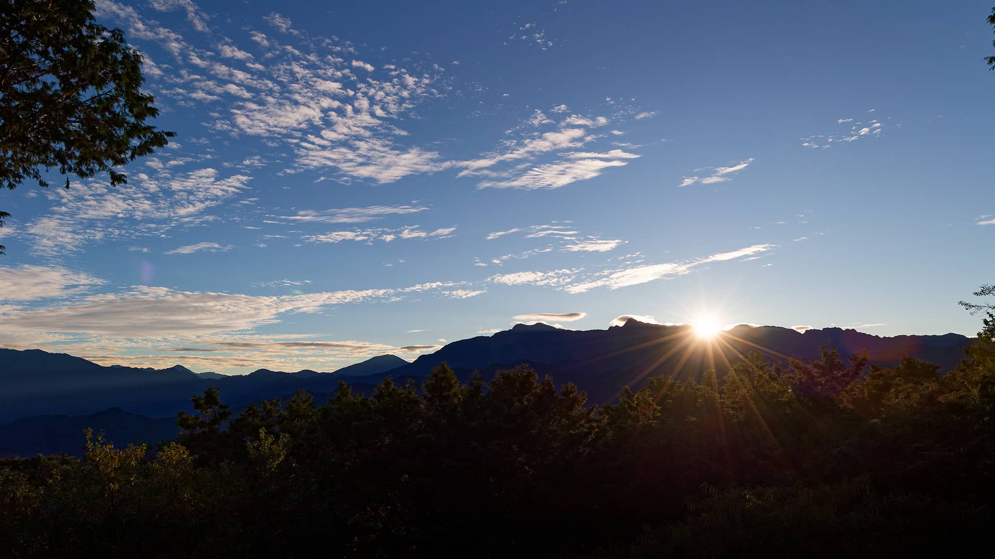 05 - Alishan (84).jpg